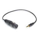 CANFORD XLR FEMALE - 3.5mm 3-POLE JACK CABLES